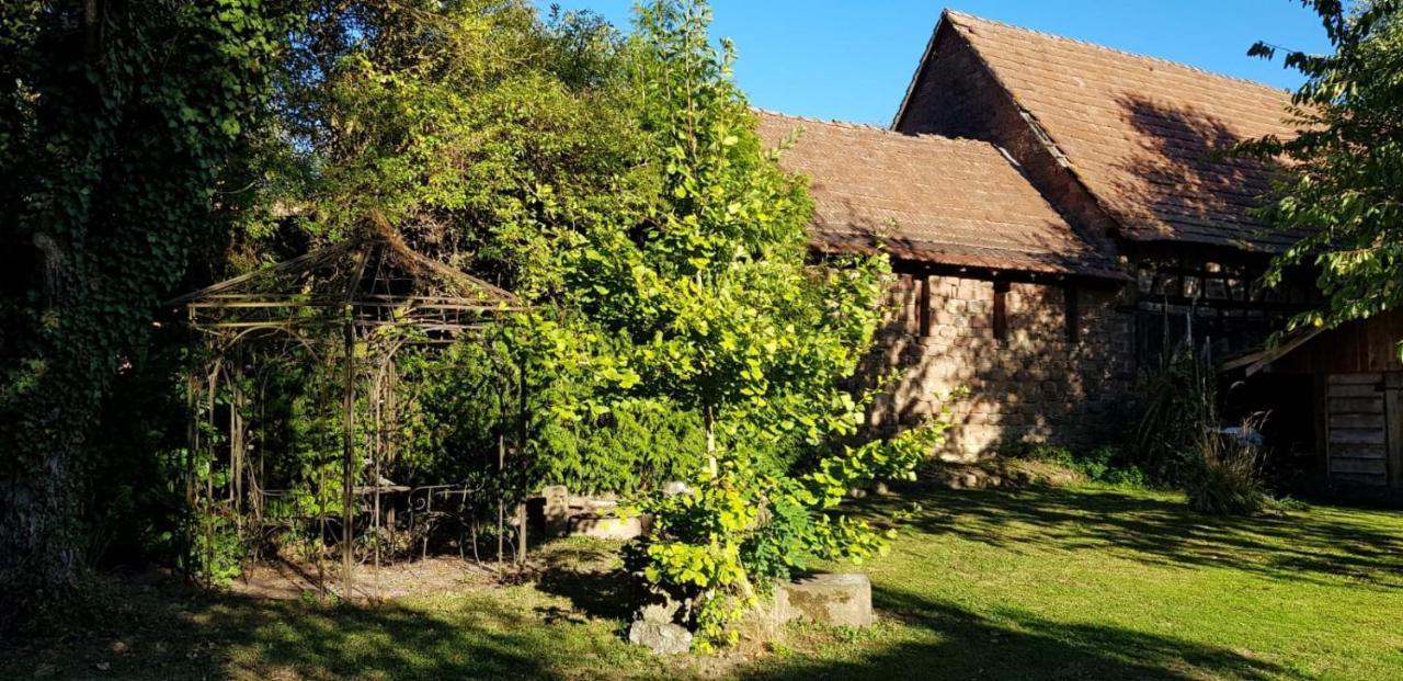 Gite A La Petite Fontaine-Plain Pied-Maison Alsacienne Renovee Avec Passion-4 Pers-4Nuitees Minimum Langensoultzbach المظهر الخارجي الصورة