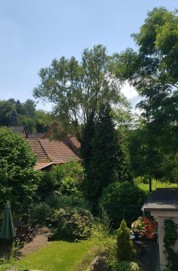 Gite A La Petite Fontaine-Plain Pied-Maison Alsacienne Renovee Avec Passion-4 Pers-4Nuitees Minimum Langensoultzbach المظهر الخارجي الصورة