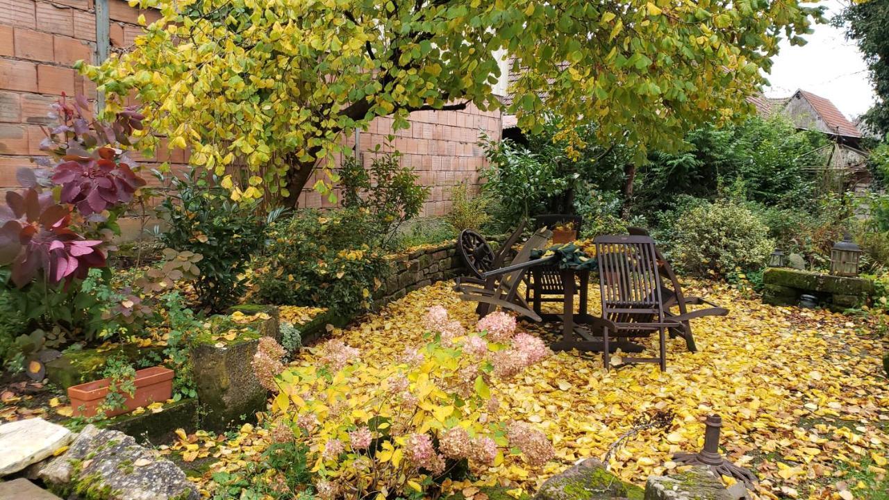 Gite A La Petite Fontaine-Plain Pied-Maison Alsacienne Renovee Avec Passion-4 Pers-4Nuitees Minimum Langensoultzbach المظهر الخارجي الصورة