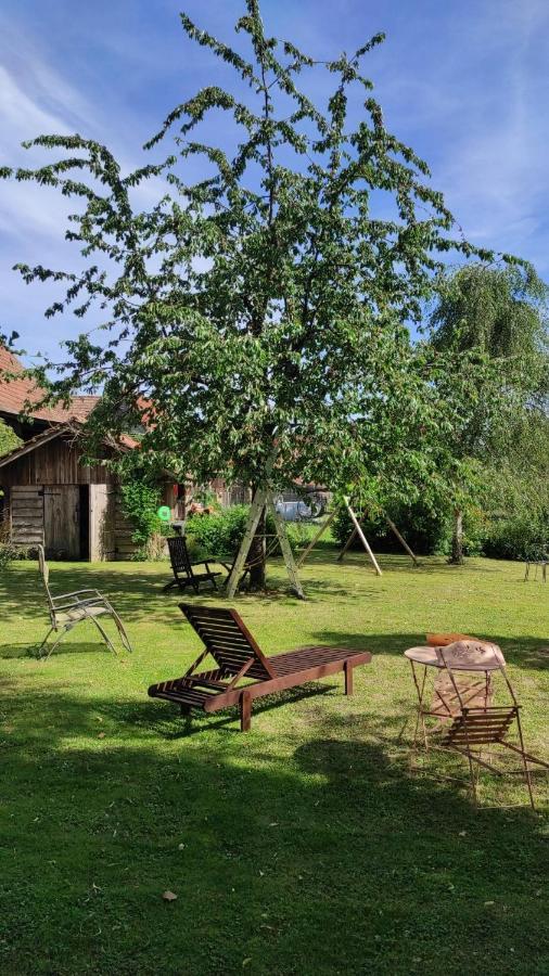 Gite A La Petite Fontaine-Plain Pied-Maison Alsacienne Renovee Avec Passion-4 Pers-4Nuitees Minimum Langensoultzbach المظهر الخارجي الصورة