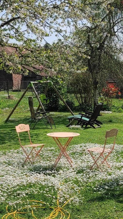 Gite A La Petite Fontaine-Plain Pied-Maison Alsacienne Renovee Avec Passion-4 Pers-4Nuitees Minimum Langensoultzbach المظهر الخارجي الصورة